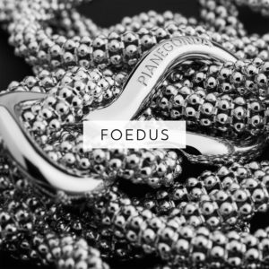 foedus-2