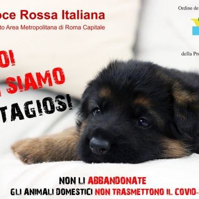 #NOINONSIAMOCONTAGIOSI. Parte la Campagna di sensibilizzazione ideata dalla Croce Rossa Italiana